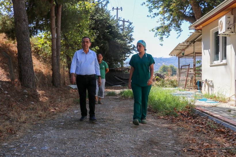 Gazipaşa Belediyesi'nden sokak hayvanları için anlamlı proje