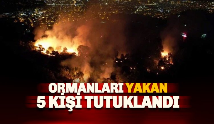 Ormanları yakan 5 kişi tutuklandı