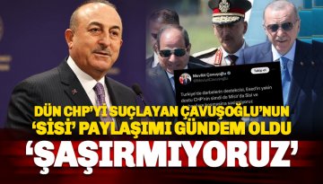 Çavuşoğlu'nun 'Sisi' paylaşımı yeniden gündem oldu