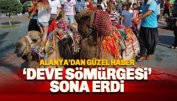 Alanya'da deve dönemi tarihe karıştı