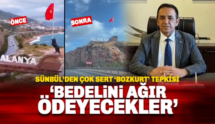 Bozkurt Heykeli Kaldırıldı: MHP İlçe Başkanı Sünbül'den sert yanıt