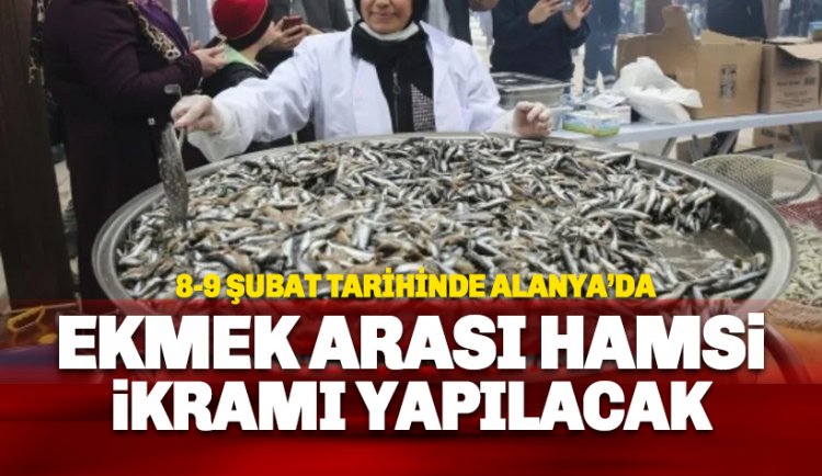 Alanya'da ücretsiz hamsi festivali başlıyor