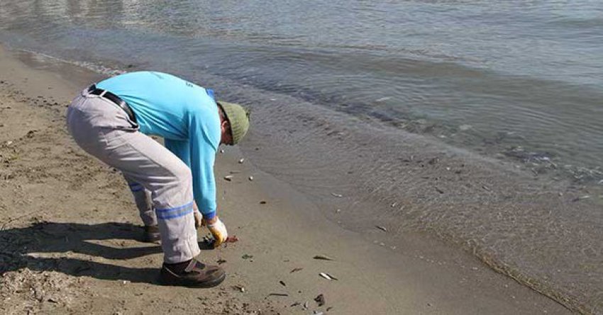 Alanya'da Korkutan Manzara: İşte Türkiye'de gündem olan görüntüler